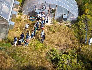 Aerial view of Permaculture