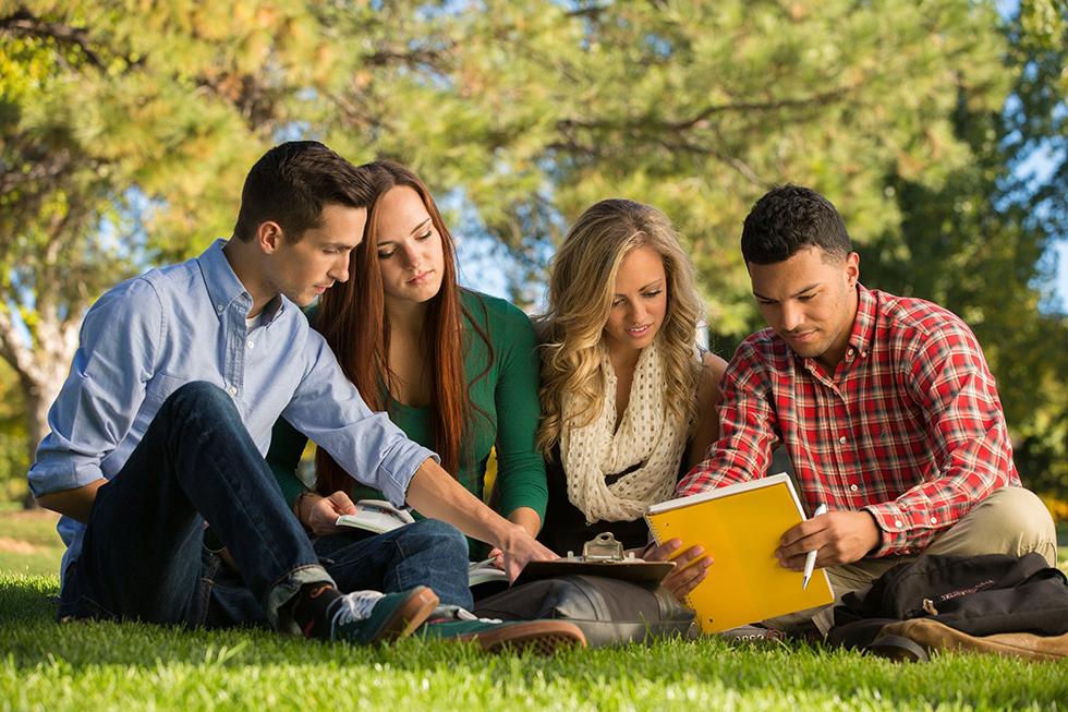 Students studying together